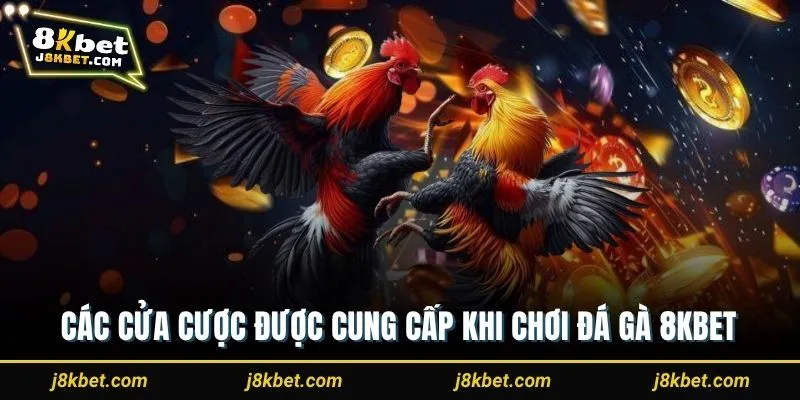 Các cửa cược được cung cấp khi chơi đá gà 8Kbet